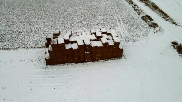 Square Hay Bales Stacked in agricultural field covered with cold winter snow. Work in agronomic farm for livestock business and production organic eco bio feed