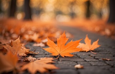 Maple leaves on the ground, autumn natural background