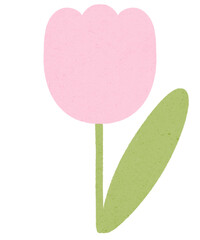 pink tulip flower. Birthday, mother's or valentine's day gift.
