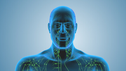 Lymphoma cancer begins in cells of the lymph system