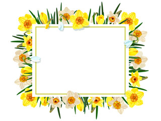 Floral frame with crocuses, daffodils, snowdrops.
