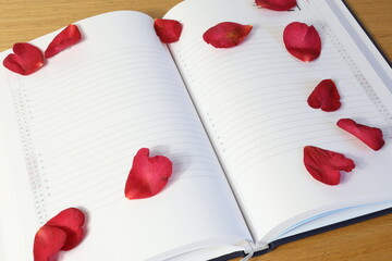 Winter rose petals resting on blank white diary page.