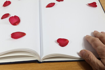 Petali di rosa invernali appoggiati sulla pagina bianca vuota del diario con la mano sulla pagina. - obrazy, fototapety, plakaty
