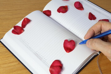Petali di rosa invernali appoggiati su una pagina bianca vuota del diario con scrittura a mano.