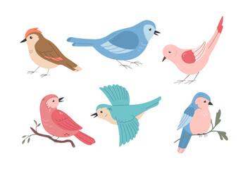 Set of different cute spring birds on white background. Cartoon vector illustration.