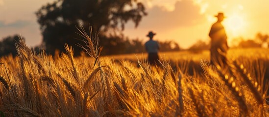 As the vibrant sunbeams caressed their faces, farmers stood tall amidst their bountiful wheat field, as the symphony of harvesting resonated. - obrazy, fototapety, plakaty