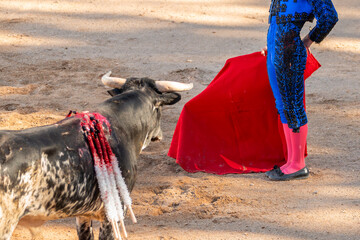 Bullfight in Spain. Spanish bullfighter in the bullfighting arena. 