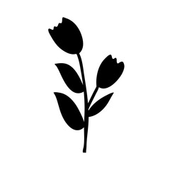 Tulip flower silhouette