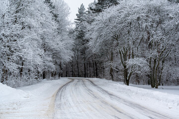 Winter road through forest with frozen trees