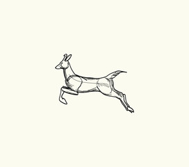 An animal drawn with a single line. antelope