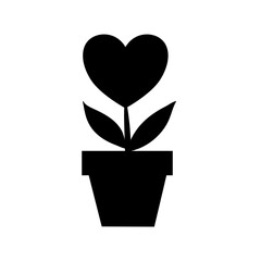 Love valentine plant