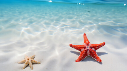 Fototapeta na wymiar Hello summer. Seastar on the beach. AI generated image.