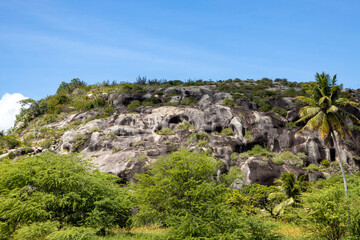 Obraz premium Rocky mountain with some vegetation. Free space to write.