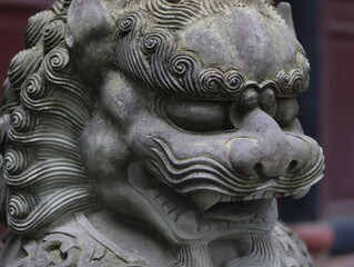 Fototapeta na wymiar chinese lion statue in chinese temple