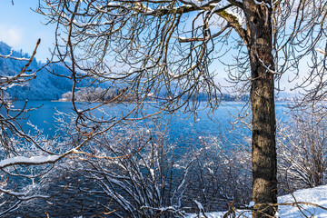 Lake Schliersee in the Bavarian Alps in Germany through snowy branches, copy space