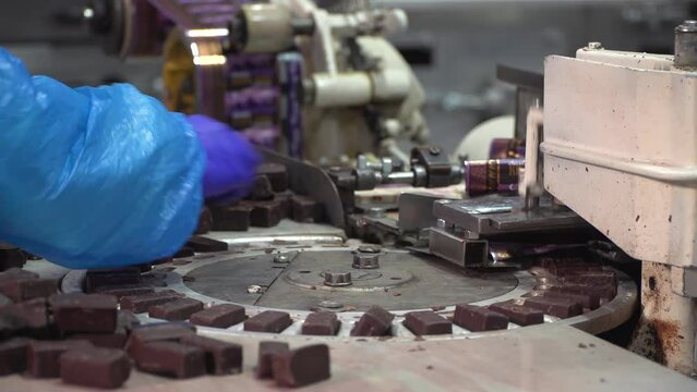 Chocolate candy packaging conveyor. Confectionery factory. Chocolate factory. Candy production.