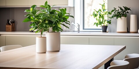 Fototapeta na wymiar Cozy modern kitchen with green plant on table.