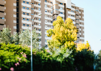 A vivid yellow tree bursts into bloom against the backdrop of urban high-rise apartments on a bright sunny day, showcasing natures presence in the city.