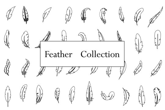 Set Of Black Bird  Feather In A Flat Style. Black Quill Feather Silhouette. Plumelet Collection. Vector Icon Logo Isolated On White Background