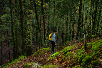 Fototapeta premium Girl hiking in the forest of Selva Irati, in the north of Navarra, Spain in the Pierineos Atlanticos. Early autumn. Leafy beech forest