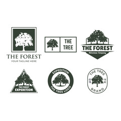 Obraz premium Forest badge vector set Isolated over white background.