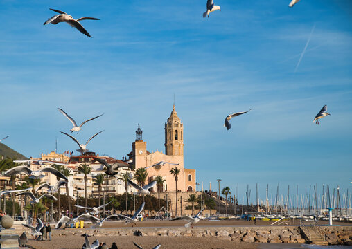 Landscape of the Mediterranean coast in Sitges with seagulls, Parròquia de Sant Bartomeu i Santa Tecla in the background.