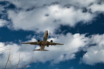 Plane flying arriving at the airport, image with vegetation silhouette
