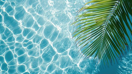 Fototapeta na wymiar Palm leaf isolated on sunny blue rippled water surface, summer beach holidays background concept with copy space