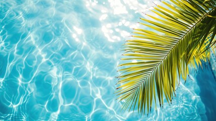 Fototapeta na wymiar palm leaf isolated on sunny blue rippled water surface, summer beach holidays background concept with copy space
