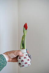 A person delicately holds a small vase with a beautiful flower, adding a touch of simplicity and elegance to any home