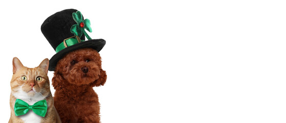 St. Patrick's day celebration. Cute dog in leprechaun hat and cat with green bow tie on white...