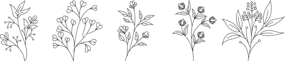 Line art sketch drawing of floral element