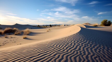 Fototapeta na wymiar Sandy desert dunes contributing to a healthy eco system , Sandy desert dunes, healthy eco system, desert