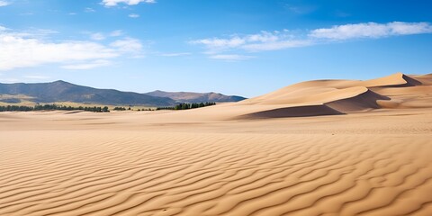 Fototapeta na wymiar Sand dunes landscape contributing to a healthy eco system , Sand dunes landscape, healthy eco system, desert