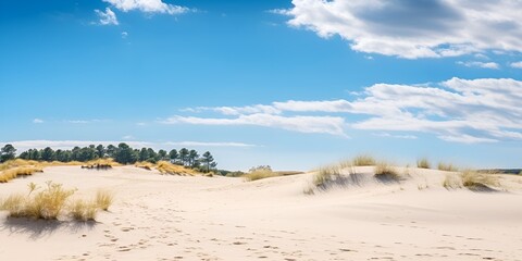 Sand dunes landscape contributing to a healthy eco system , Sand dunes landscape, healthy eco system, desert
