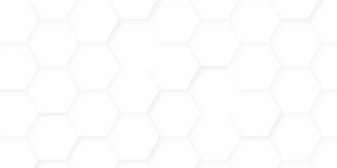 Abstract background with hexagons. Geometric hexagon polygonal pattern background vector. seamless bright white abstract honeycomb grid 3d cell tile technology texture  backdrop concept.