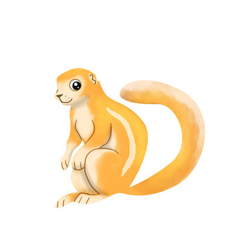 African squirrel xerus animal cartoon isolated