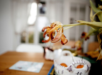 A vase of dried tulips sits gracefully on a table in a cozy room.