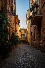 Picturesque Cobblestone Street with Rustic Buildings