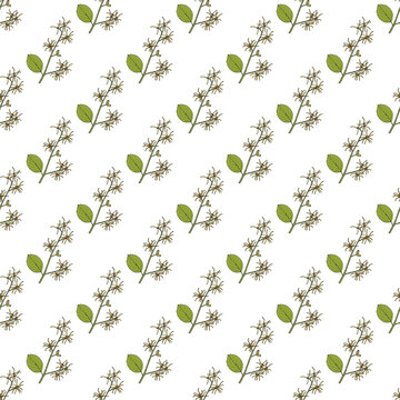 Seamless pattern with witch-hazel
