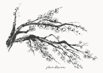 Hand drawn ink brush painting of spring blooming sakura tree branches with flowers
