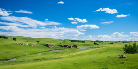 Fototapeta premium Prairie grasslands view contributing to a healthy ecosystem , Prairie grasslands view, healthy ecosystem, grasslands