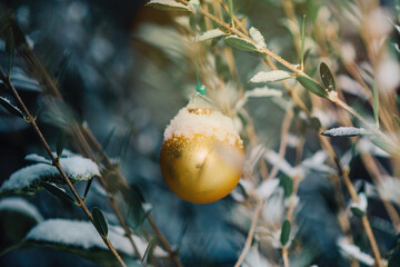 A golden globe hangs gracefully between the branches of evergreen bushes, a symbol of the upcoming festive season.