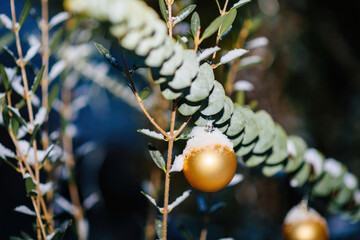 Golden glass globes hang on evergreen branches, with a soft bokeh background perfect for a winter holiday postcard.