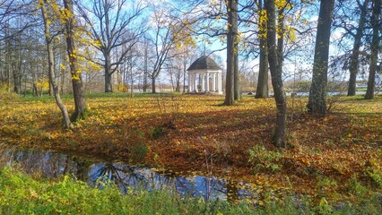 In a city park on a grassy lawn covered with fallen leaves among trees and surrounded by water stands a rotunda of concrete columns with a domed roof of wooden tiles. Sunny autumn weather and blue sky