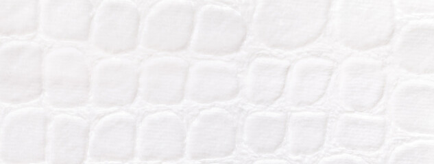 Texture of white velvet background from a soft upholstery textile material, macro. Abstract velour fabric