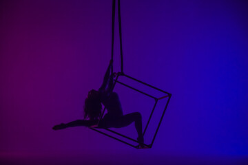 Silhouette of female aerial gymnast isolated on blue purple neon background. Female acrobat...