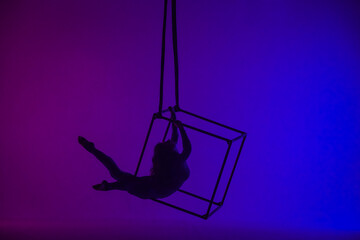 Silhouette of female aerial gymnast isolated on blue purple neon background. Female acrobat...