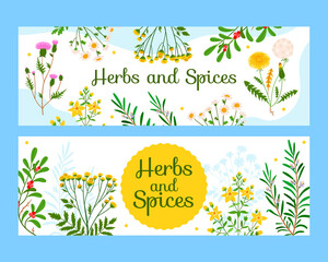 Herbs flat hand drawn cartoon banner set