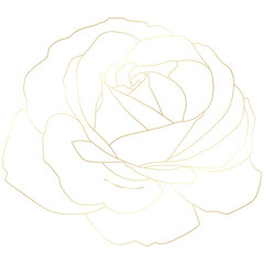 Golden vintage rose floral flower vector